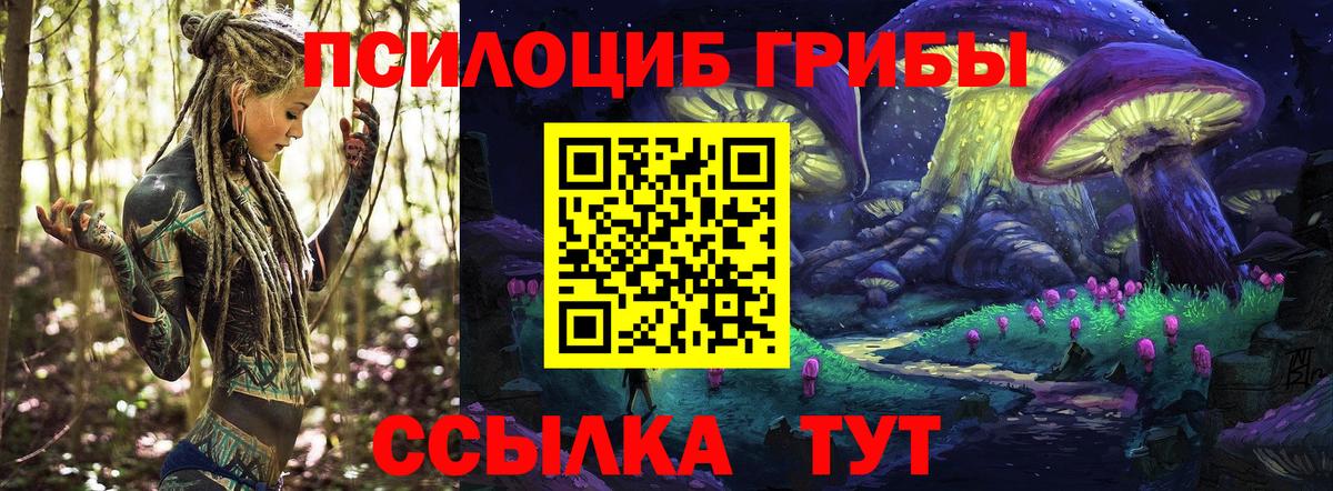 Галлюциногенные грибы Cubensis Анапа