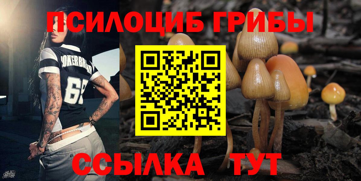 Псилоцибиновые грибы прущие грибы  Псилоцибиновые грибы мицелий  Вход с VPN  Анапа 